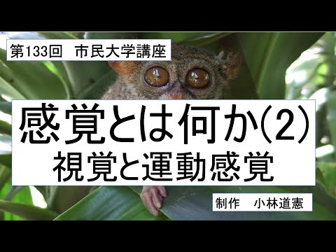 地域科学課程 感覚とは何か（２）視覚と運動感覚