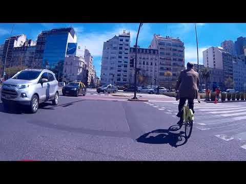 Un par de árboles milenarios y paseo por Buenos Aires en bici