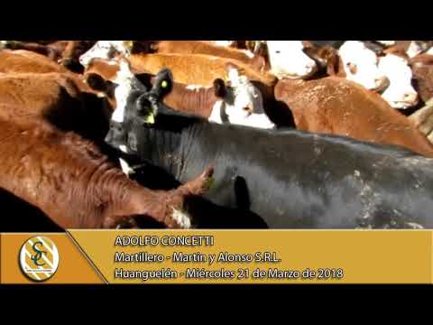 21-03-18 Nota Adolfo Concetti - Martin y Alonso S.R.L. - Huanguelén