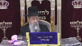 הרב בן ציון מוצפי • שלושת השבועות ימי בין המיצרים י"ז בתמוז סודאי תמוז תשפ"ג