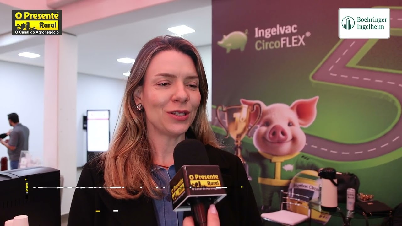 Conheça a vacina que mudou o controle do PCV2 no mundo