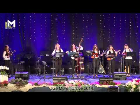 TS Cure iz Centra - O moj dragi jedini  (festival Kre Mure i Drove, Prelog 2014)