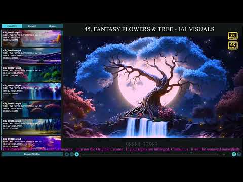 45. Flowers & Tree Compilations - 163 Visuals