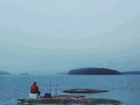 Siikakausi 2020. Hieno vuosi! Kooste vuoden kalareissuista.