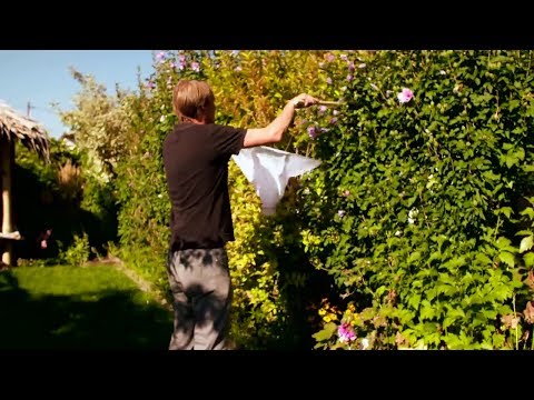 Biodiversitätsstudie - Artenvielfalf im Kleingarten