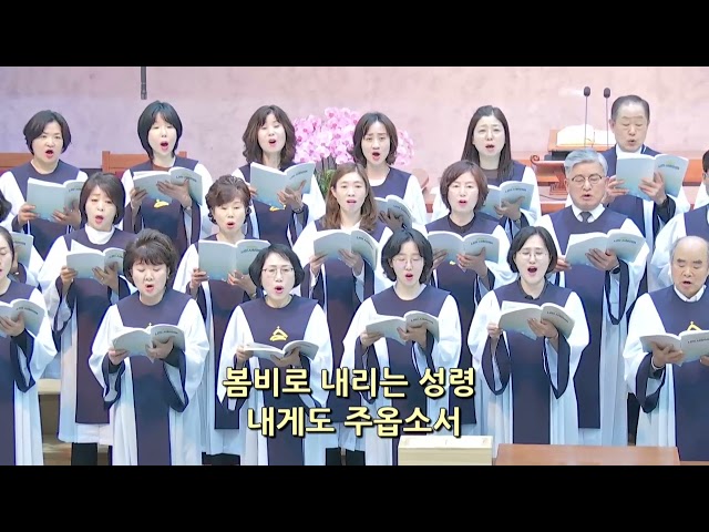 은혜의 단비