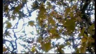 le même amour- Annie Philippe