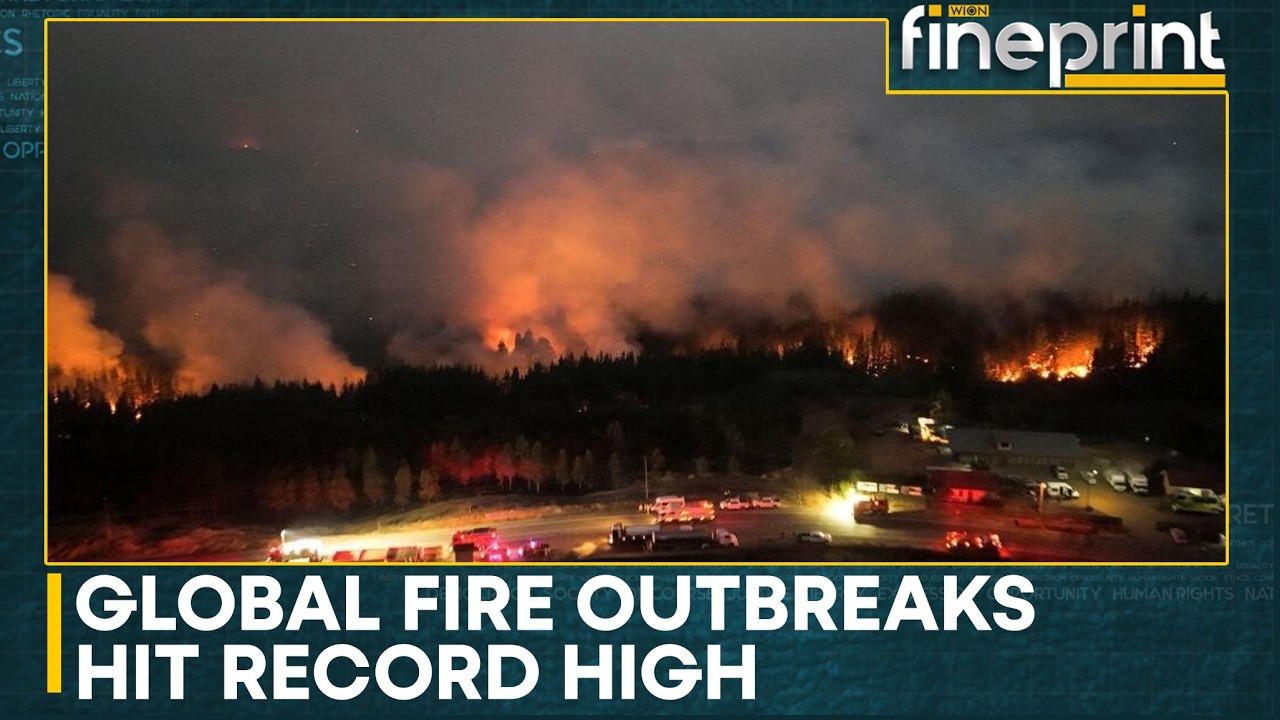 Africa Fires: Reports Say Over 150 Million Hectares Burnt Globally This Year | WION Fineprint