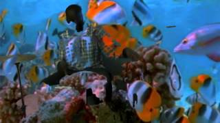 Pulley - The Ocean Song (First Act Drum Cover)