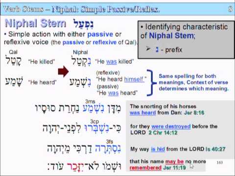 Lesson 8 part 1 - slide 163 Niphal Stem, 164 table 165 Piel Stem