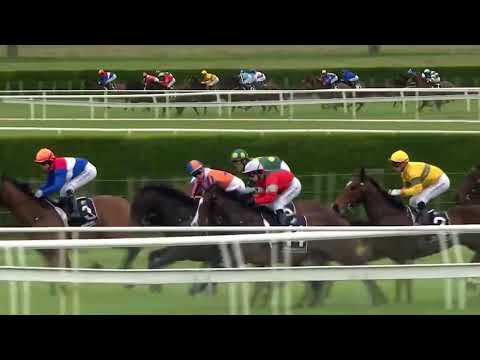 Matamata Cup 2020 Tavi Mac