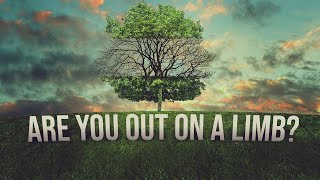 Are You Out On A Limb?