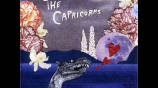 The Capricorns - Pure Magical Love