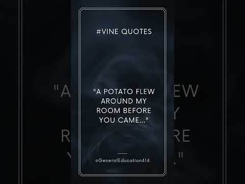 #vines #vine Quotes