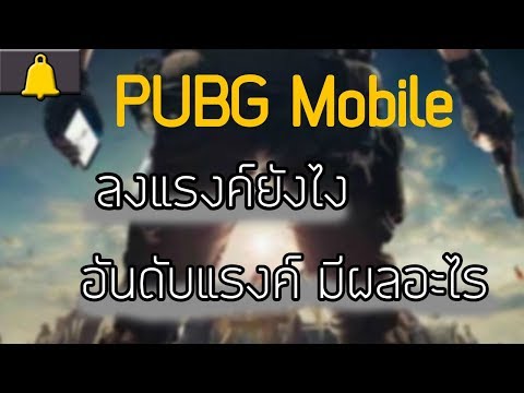 เพิ่มประสิทธิภาพสมาชิก แผนกต้อนรับส่วนหน้าเชื้อโรคม้า