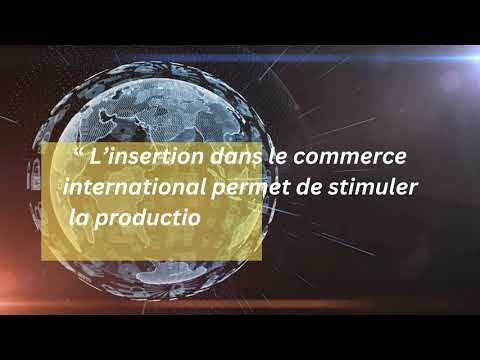 Quels sont les fondements du commerce international ? [Partie 3/4 : les firmes multinationales FMN]