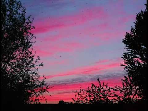 Melina Borglowe - Mercury