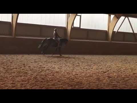 Fiderbach nachkomme 3,5 Jahre 😊