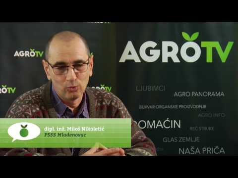 Reč struke ep. 75 04.05.2017.