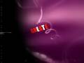Qed Communications