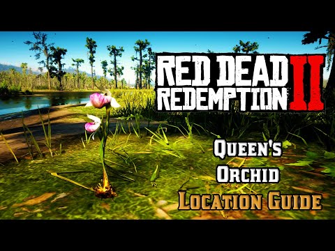 Rdr2 Queen S Orchid