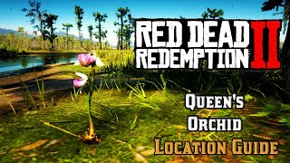 Queen's Orchid  - Location Guide | Red Dead Redemption 2