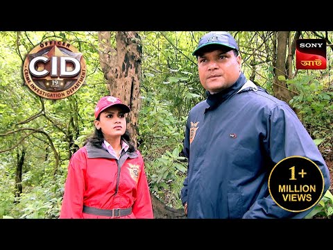 Search For The Tree | CID - Special Cases | 27 Apr 2024