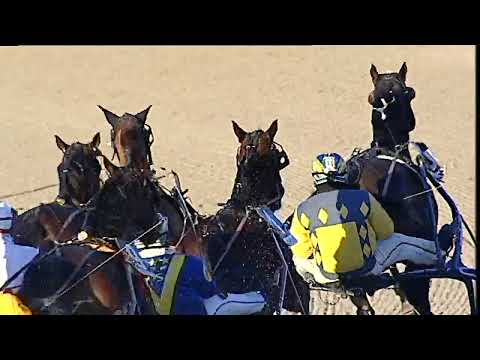 Napoli Trotto 31/01/2023 - 6ª corsa