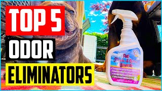 Top 5 Best Pet Odor Eliminators of 2023 Review