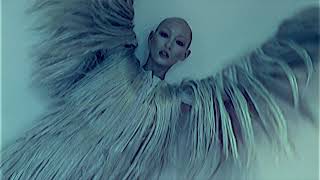 SIGHTING for King Kong