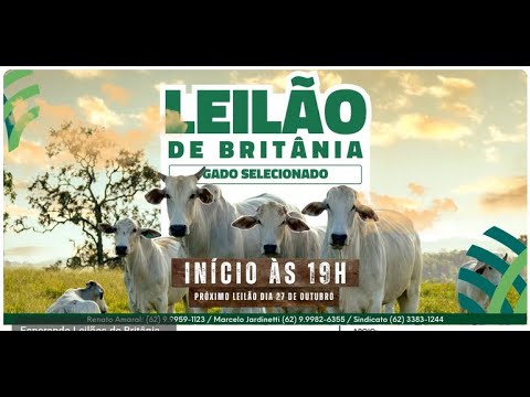 Leilão Sindicato Rural de Britânia-GO - 23/10/25 | Leilão ao vivo - Leilão de Gado