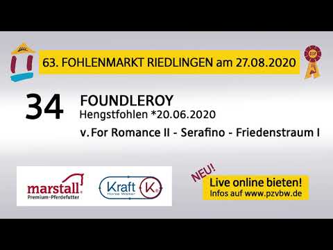 34 FOUNDLEROY - HF v. For Romance II-Serafino - Fohlenauktion Riedlingen 2020