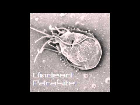MY OWN SUMMER COVER BY UNDEAD PARASITE