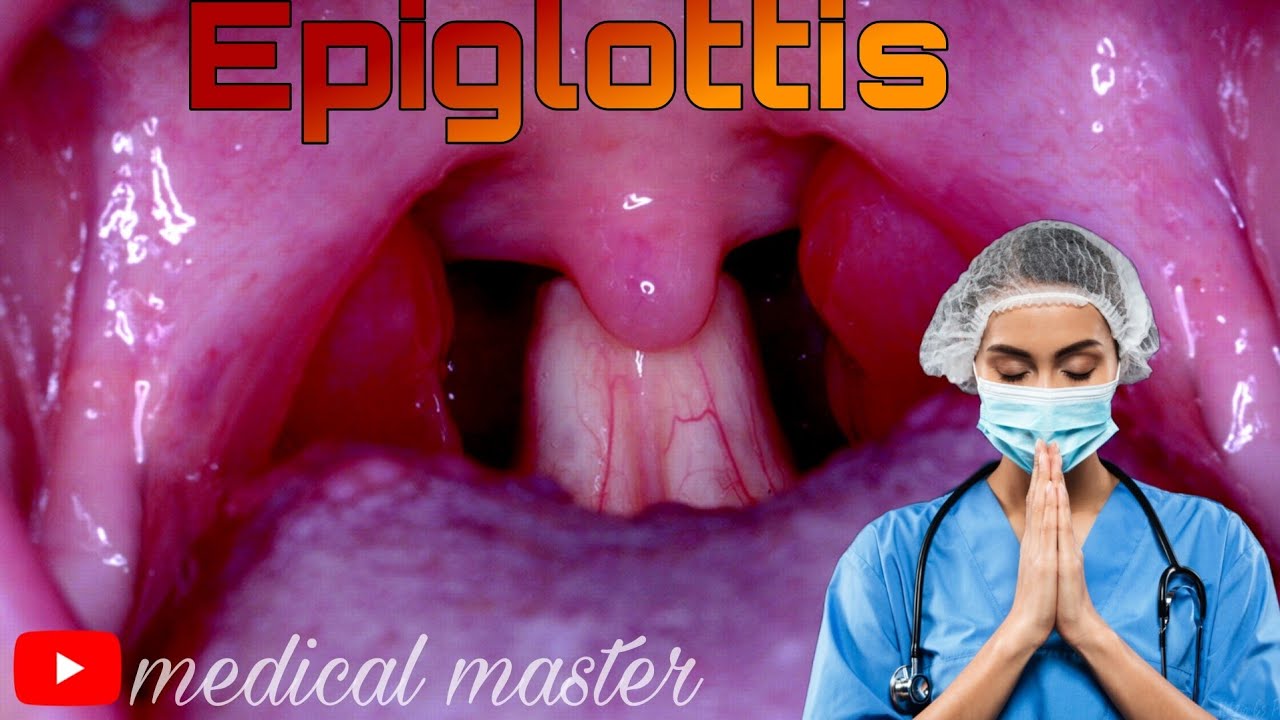 Functions of Epiglottis..