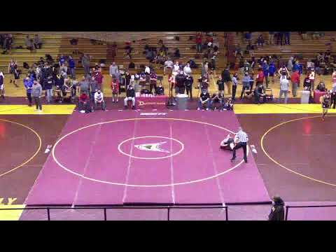 DHS Cardinal Gymnasium- Regional Individual Wrestling Recording 2021 Part 2