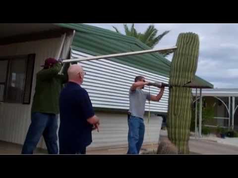 YWAMPHX - 11.12.11 (Olympic Cactus Chopping)