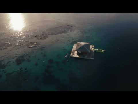 Feel What We Feel Here in The Islands of Tahiti - 15"