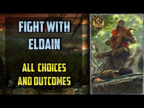 Fight With Eldain All choices - Thronebreaker the Witcher Tales - (Heart Of The Woods)