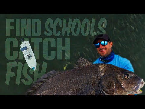 Pro Guide Reveals How to Find & Catch HUGE Schools Of Redfish & Black Drum