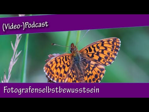 Videopodcast No.7 - Fotografenselbstbewusstsein