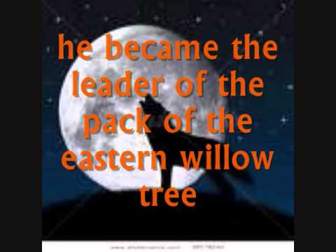 Ravenio; the Life of a Brave and Noble Wolf