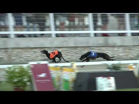 2021.09.12. 13. futam - Európa Derby Sprint Döntő