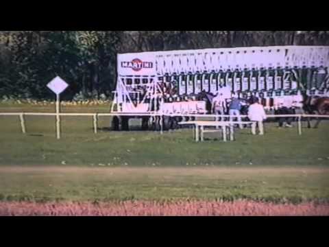 Wyścig III grupy - 1.05.2004 - Brzask (Alywar - Brewka)