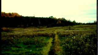 "tree of our shade" written by Sean kelly