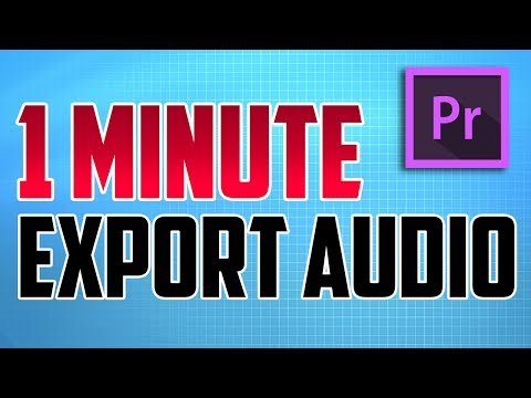 Premiere Pro Podcast Voice Tutorial