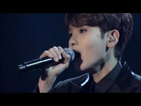 DVD Super Camp in Tokyo   Dorothy