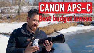Best budget lenses for Canon APS-C DSLRs