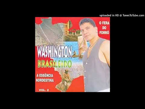 Doce Amor - Washington Brasileiro