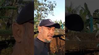 TPT jebol, jembatan penghubung Desa Babakan Caringin dan Desa Ciherang, jalur akses anak sekolah,