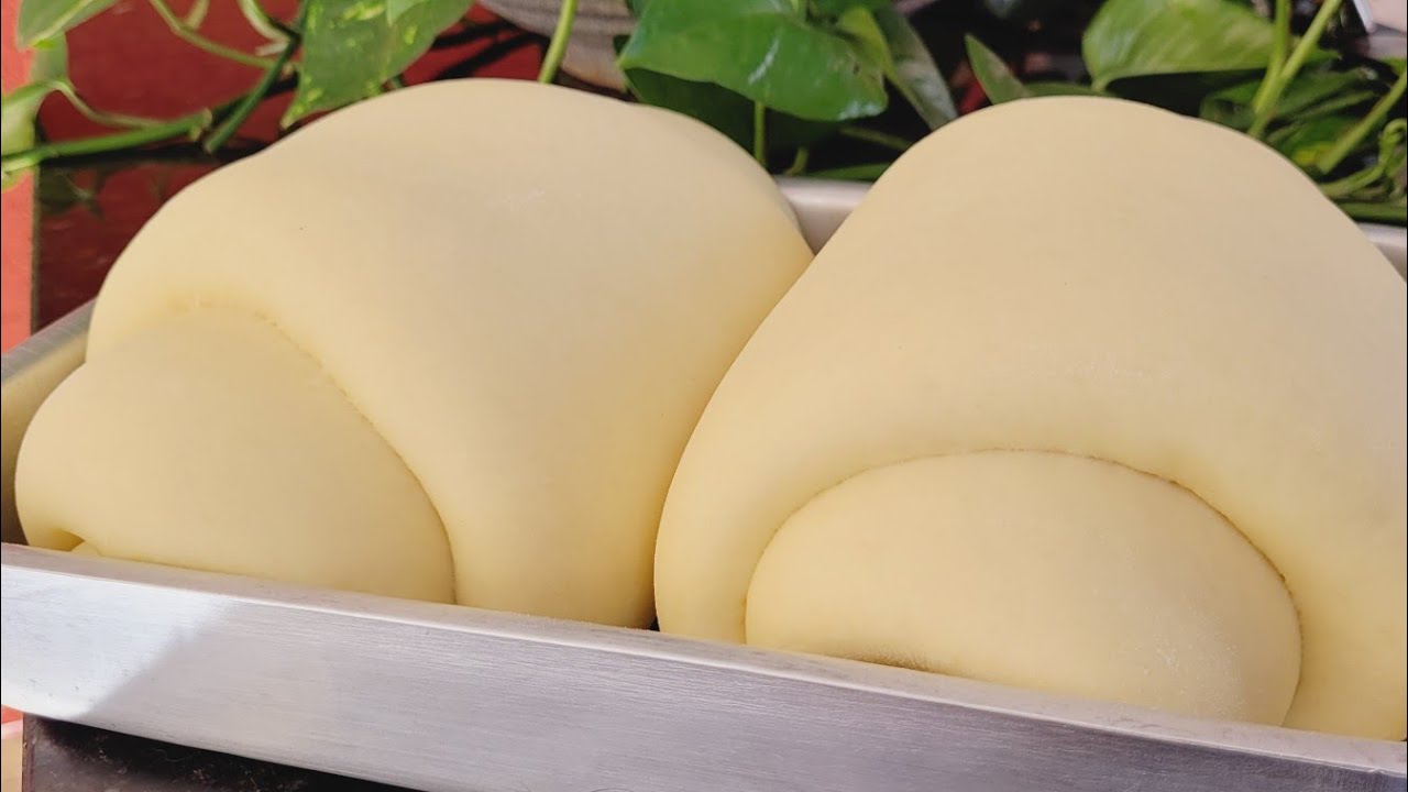 🚨ATIVEI O FERMENTO😍E MEUS  PÃES FICARAM GIGANTES E FOFINHOSS❗PASSO A PASSO COMO FAZER PÃO👌#pão